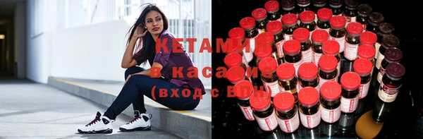 шишки Верхний Тагил