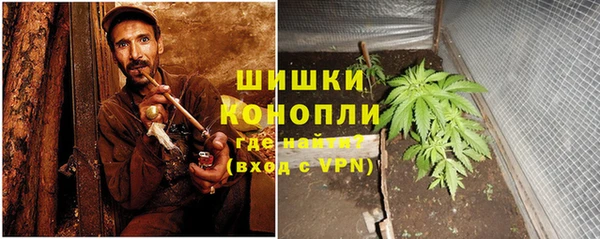 шишки Верхний Тагил