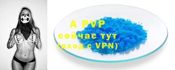 шишки Верхний Тагил