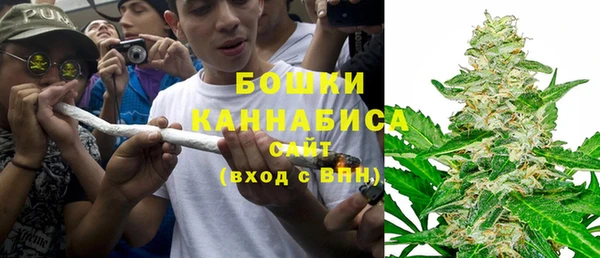 шишки Верхний Тагил