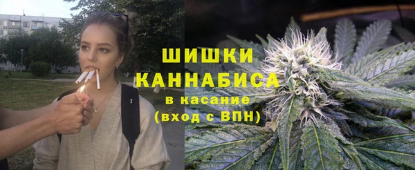 шишки Верхний Тагил