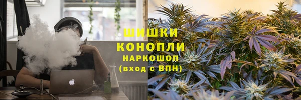 шишки Верхний Тагил