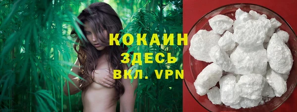 шишки Верхний Тагил