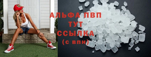 шишки Верхний Тагил
